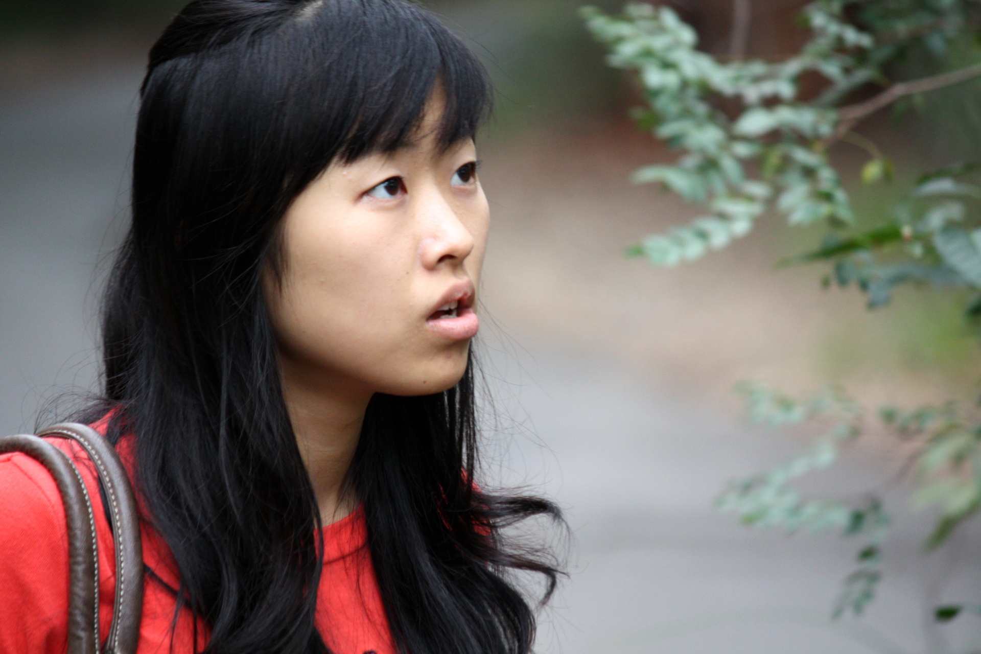 2010-04-16 Vylet do Balls Head